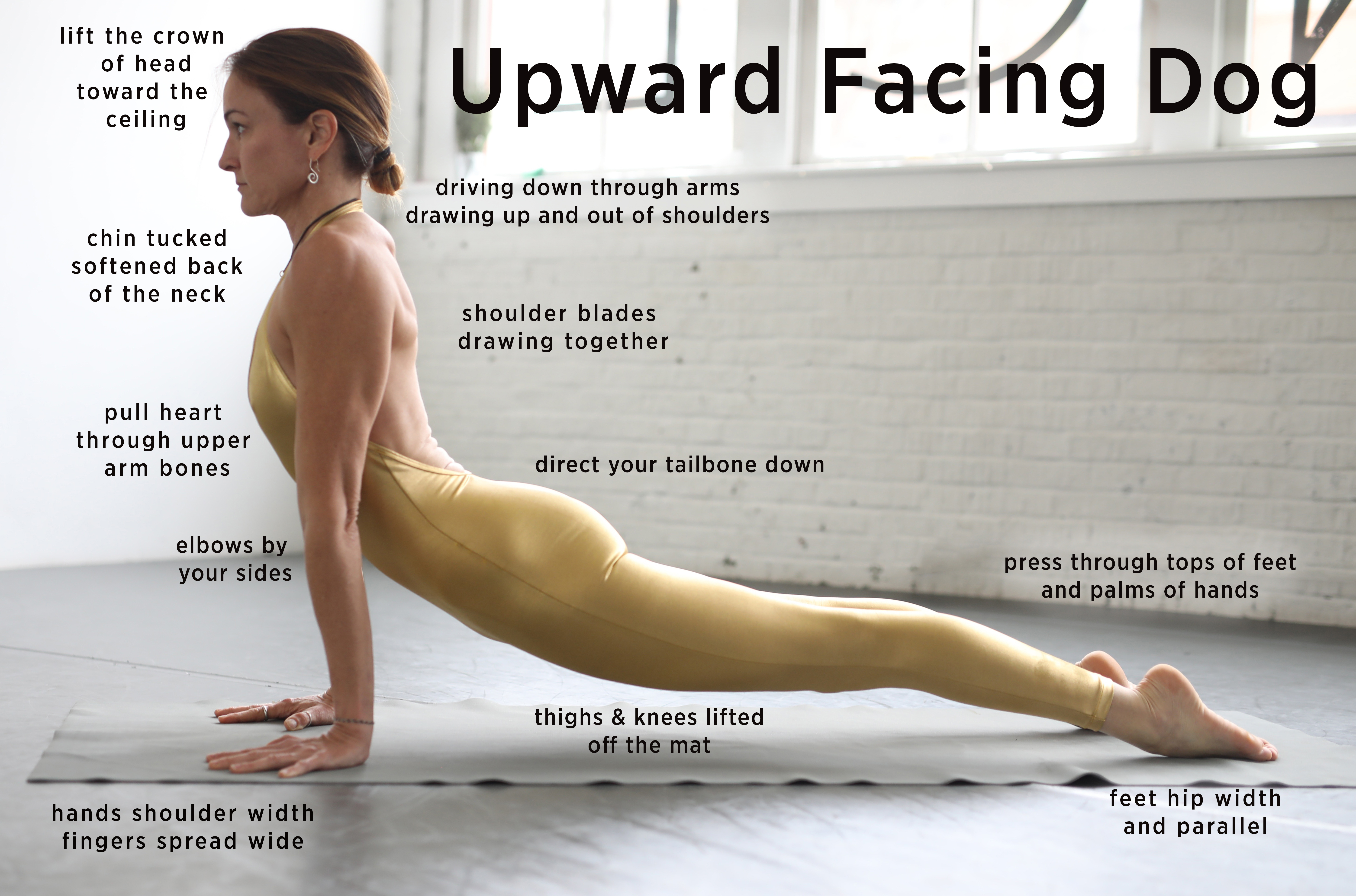 Debby Siegel demonstrates yoga pose - upward facing dog