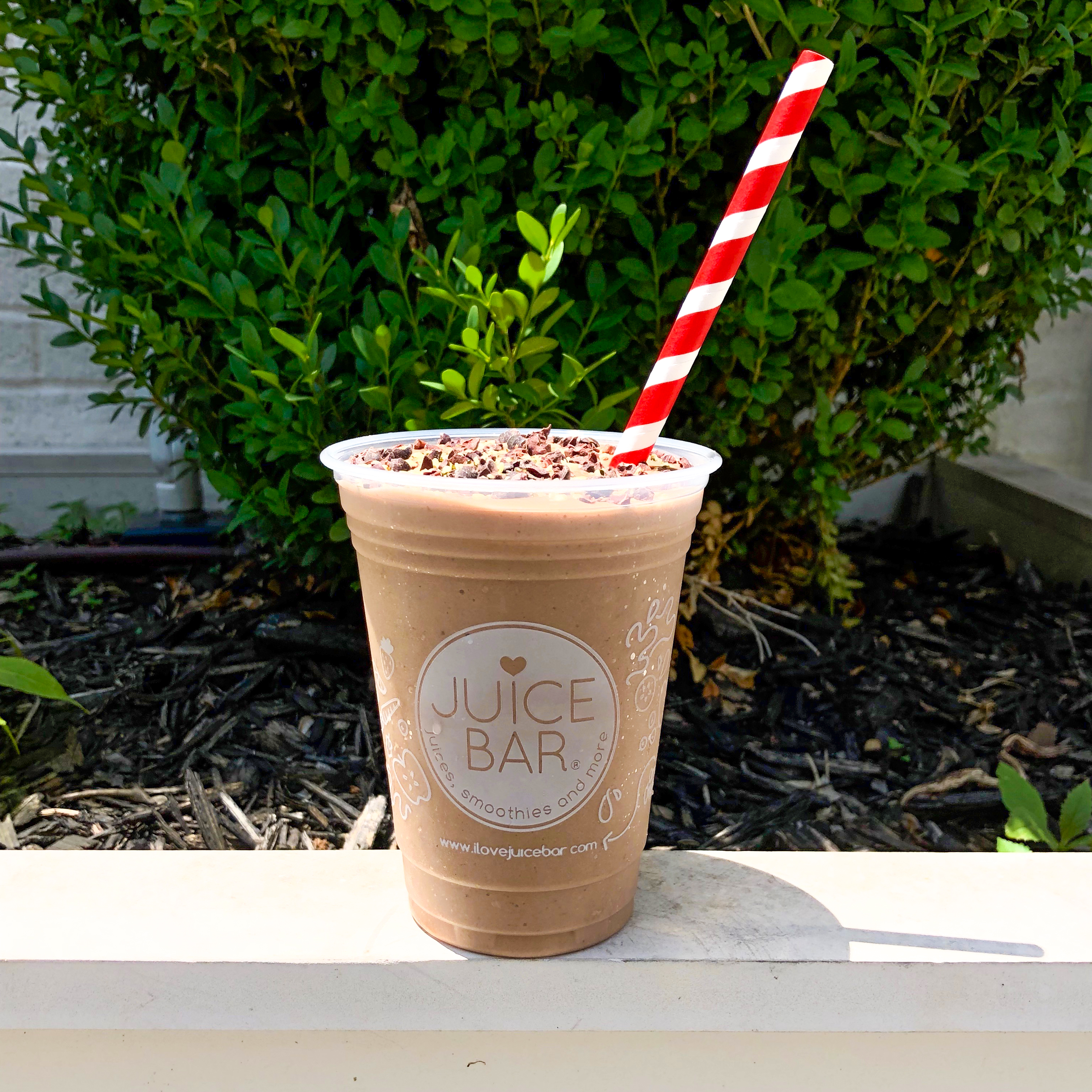 Cacao Smoothie from Juice Bar Ladue
