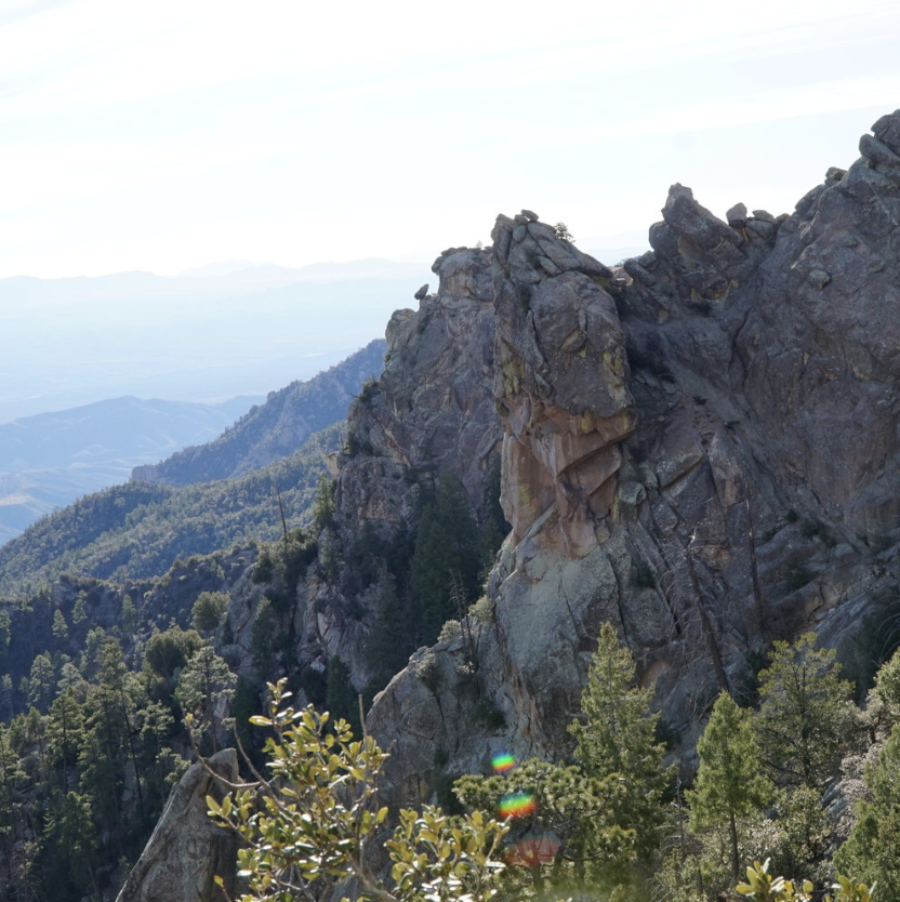 Mount Lemmon Southern AZ Yoga Retreat